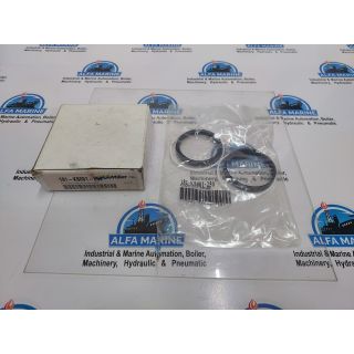 MILLER FLUID POWER 181-KB001-250 CYLINDER BORE KIT