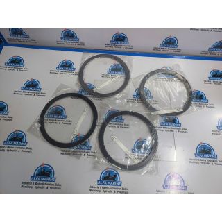 NAKAKITA GASKET FOR ASTERN GURD VALVE B61