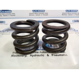 OLIVE SPRING (21A-1)2142-060