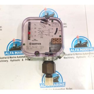 SAUTER DFG 19 B 58 F101 PRESSURE SWITCH IP44